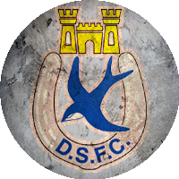 Logo Dungannon Swifts FC